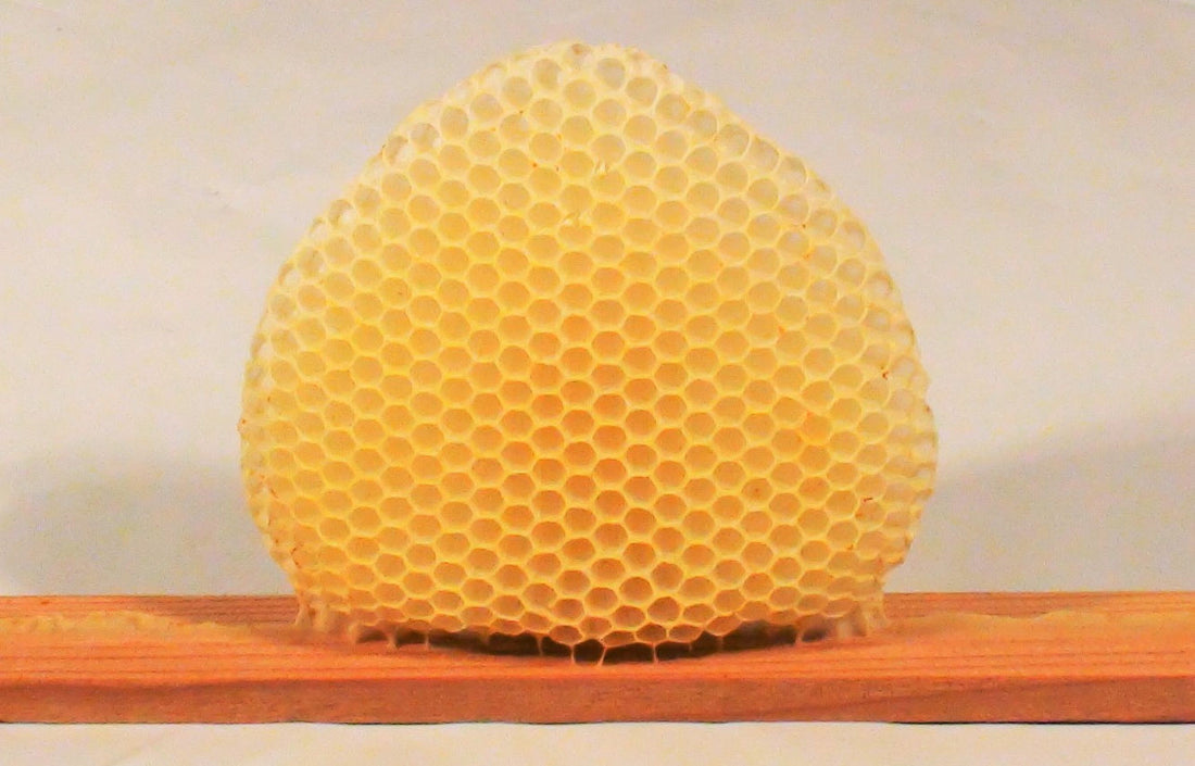 Warré Hive Natural Comb - Copyrights RebelBees 2016