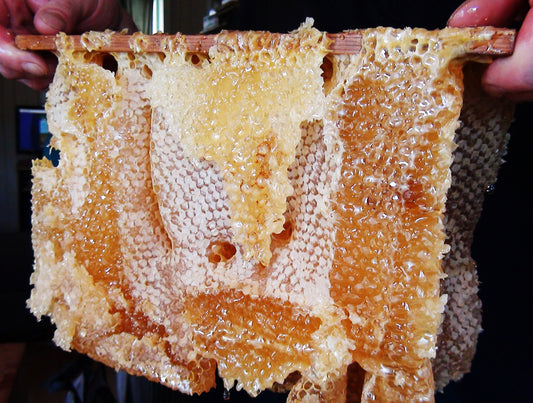 Warré Hive Natural Comb - Copyrights RebelBees 2016