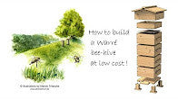 You want to build yourself your Warré hive? Check this out...