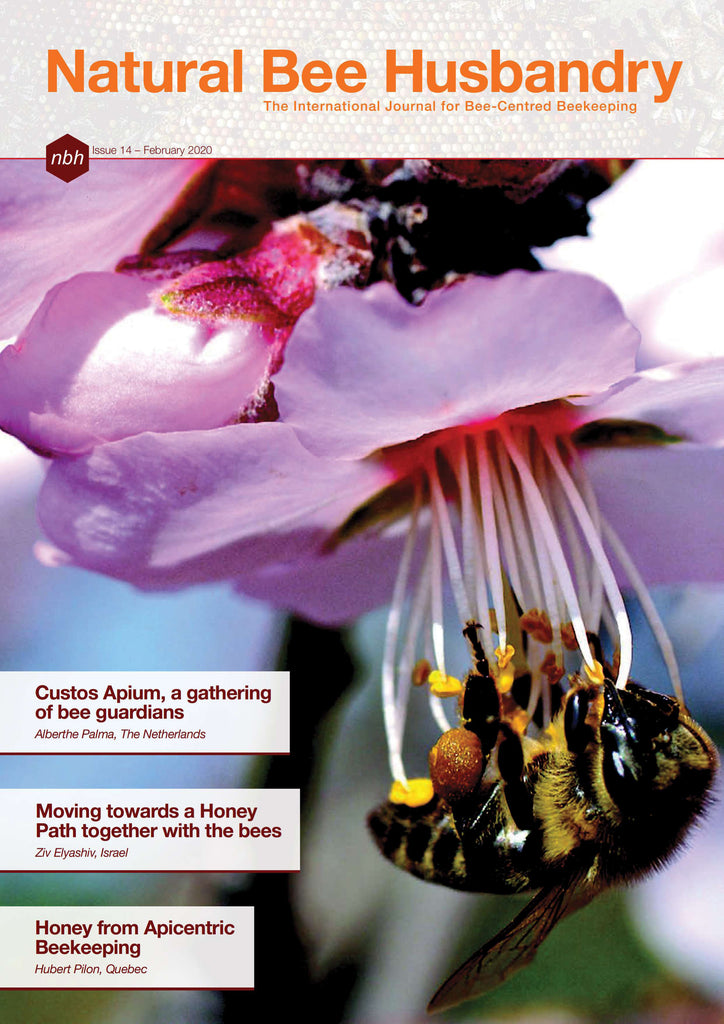 Honey from Apicentric Beekeeping