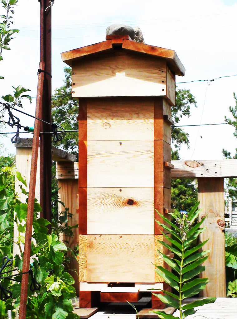Warré hive and combs movability