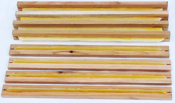 Warré Hive Top-bars with Wax Starter-strips - Copyrights RebelBees 2016